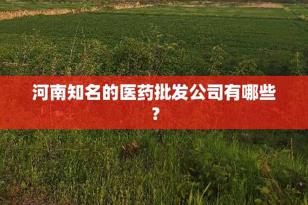 河南知名的医药批发公司有哪些？