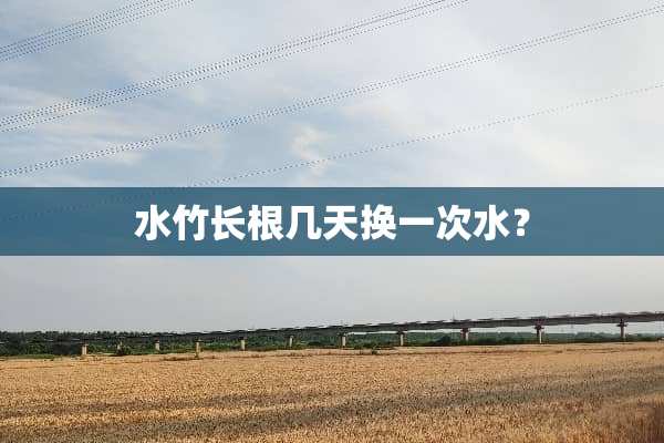 水竹长根几天换一次水？