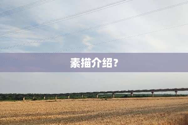 素描介绍？