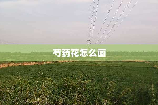 芍药花怎么画