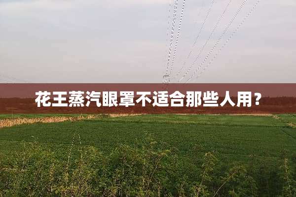 花王蒸汽眼罩不适合那些人用？