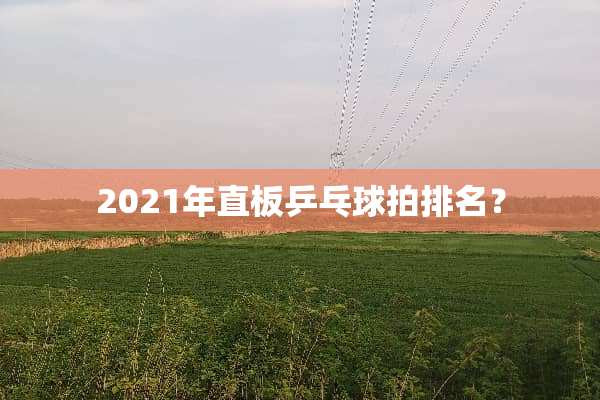 2021年直板乒乓球拍排名？