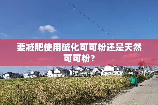 要减肥使用碱化可可粉还是天然可可粉？