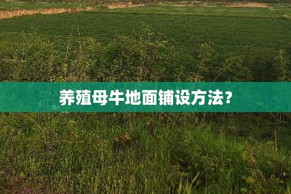 养殖母牛地面铺设方法？
