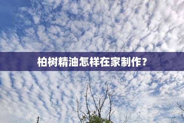 柏树精油怎样在家制作？