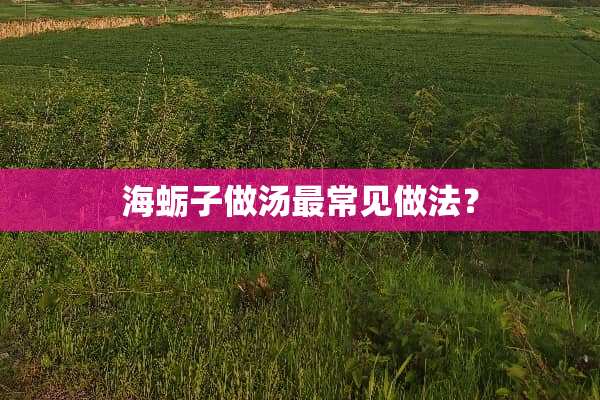 海蛎子做汤最常见做法？