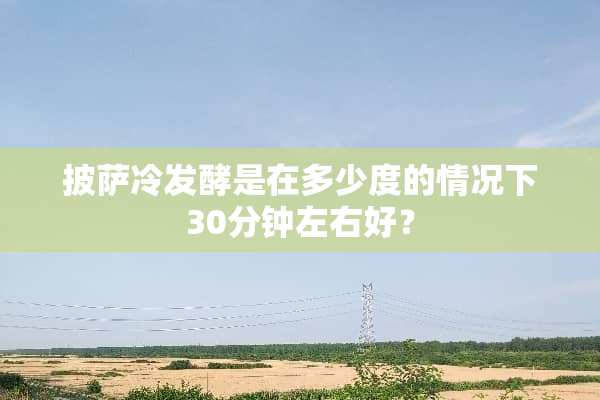 披萨冷发酵是在多少度的情况下30分钟左右好？