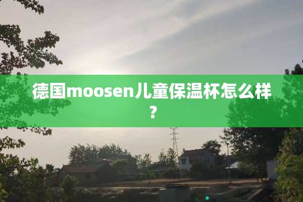 德国moosen儿童保温杯怎么样？
