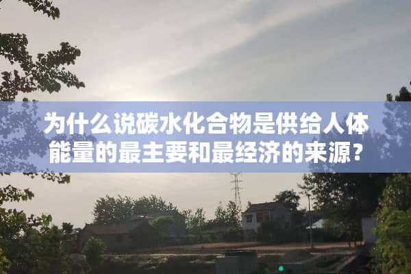 为什么说碳水化合物是供给人体能量的最主要和最经济的来源？