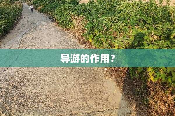 导游的作用？
