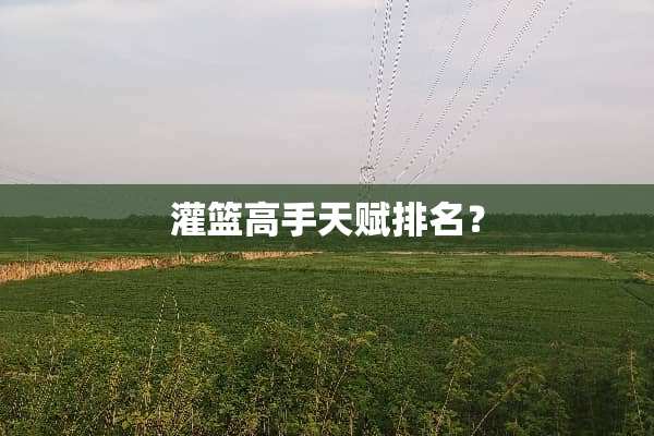 灌篮高手天赋排名？