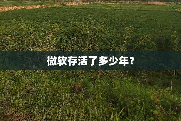 微软存活了多少年？