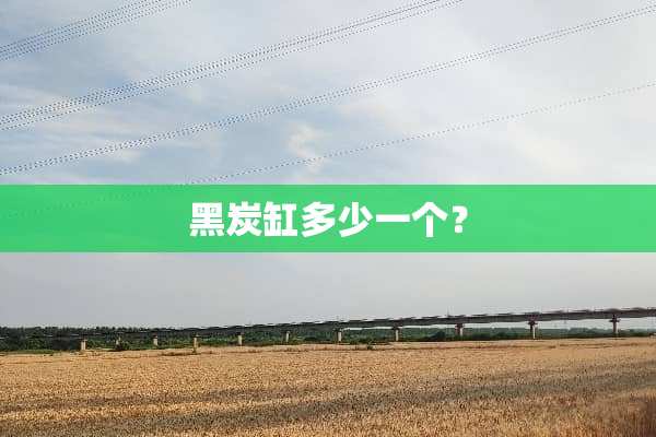 黑炭缸多少一个？
