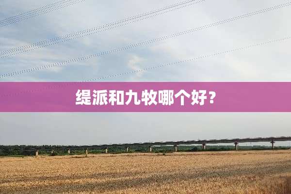 缇派和九牧哪个好？