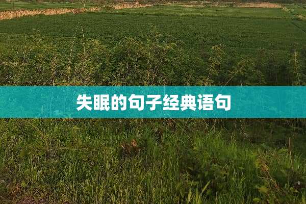 失眠的句子经典语句