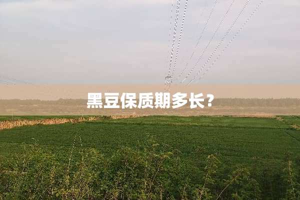 黑豆保质期多长？