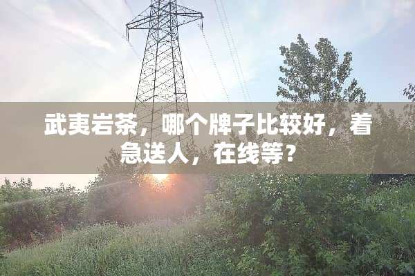 武夷岩茶，哪个牌子比较好，着急送人，在线等？
