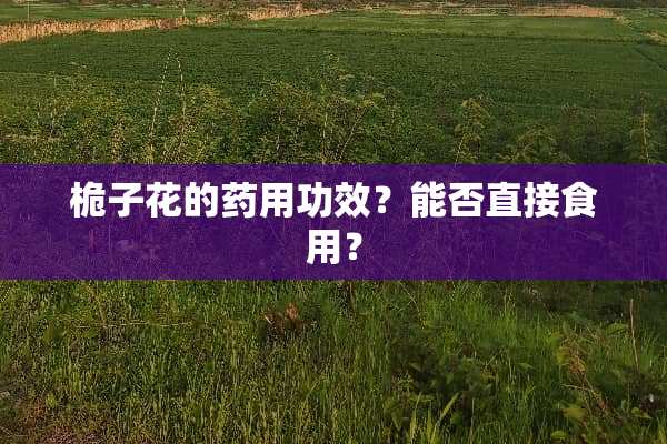 桅子花的药用功效？能否直接食用？