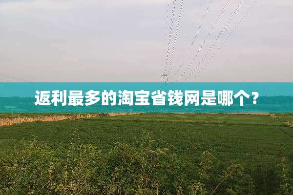 返利最多的淘宝省钱网是哪个？