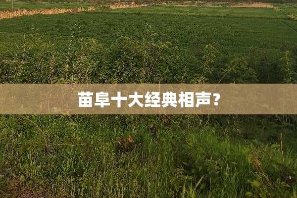 苗阜十大经典相声？