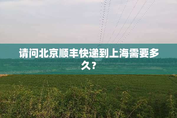 请问北京顺丰快递到上海需要多久？