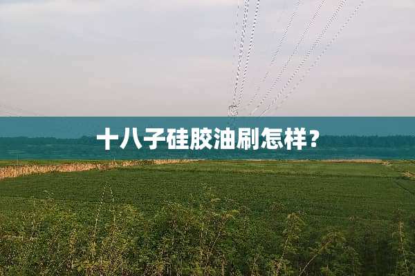 十八子硅胶油刷怎样？