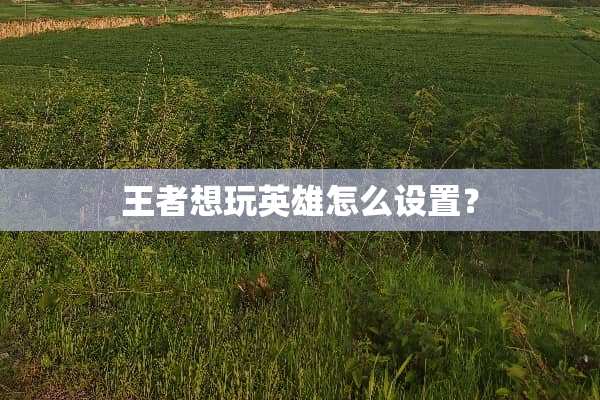王者想玩英雄怎么设置？