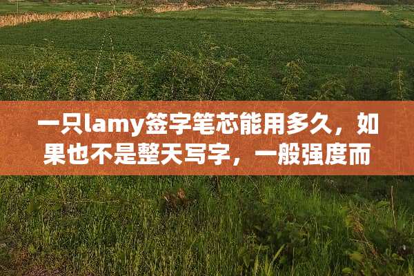 一只lamy签字笔芯能用多久，如果也不是整天写字，一般强度而已？