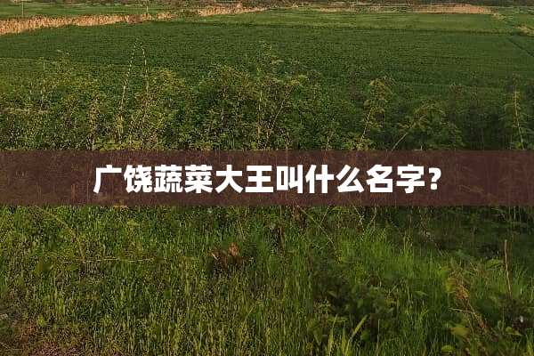 广饶蔬菜大王叫什么名字？