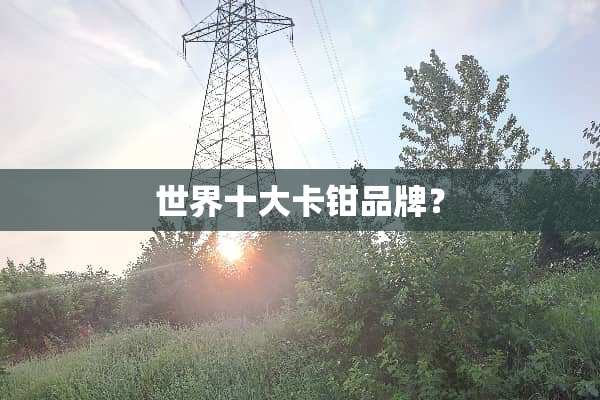 世界十大卡钳品牌？