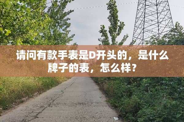 请问有款手表是D开头的，是什么牌子的表，怎么样？