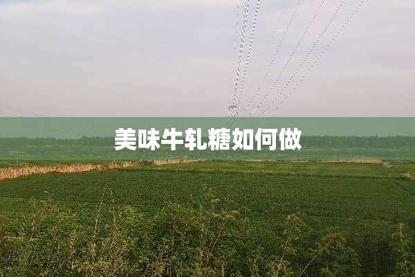 美味牛轧糖如何做