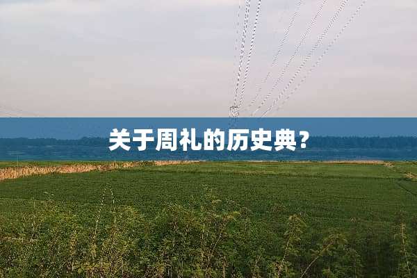 关于周礼的历史典？