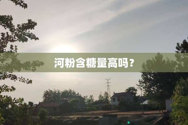 河粉含糖量高吗？
