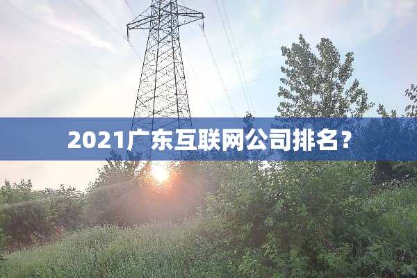 2021广东互联网公司排名？