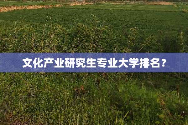 文化产业研究生专业大学排名？