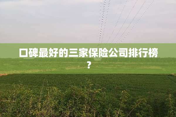 口碑最好的三家保险公司排行榜？