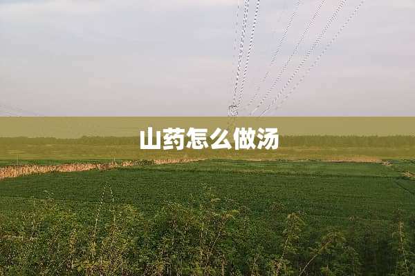 山药怎么做汤