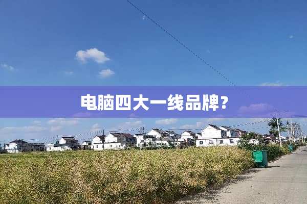 电脑四大一线品牌？