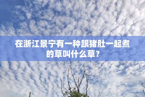 在浙江景宁有一种跟猪肚一起煮的草叫什么草？