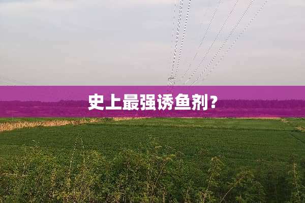 史上最强诱鱼剂？