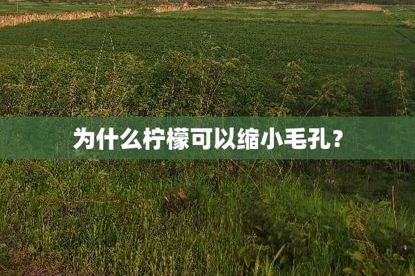 为什么柠檬可以缩小毛孔？