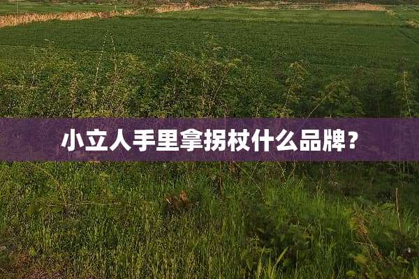 小立人手里拿拐杖什么品牌？