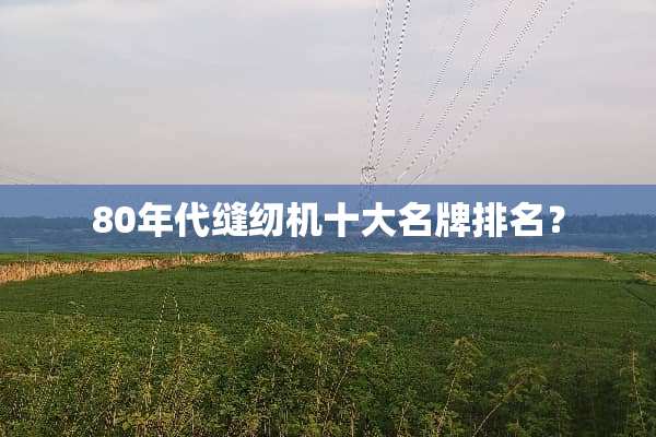 80年代缝纫机十大名牌排名？