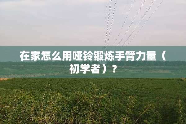 在家怎么用哑铃锻炼手臂力量（初学者）？