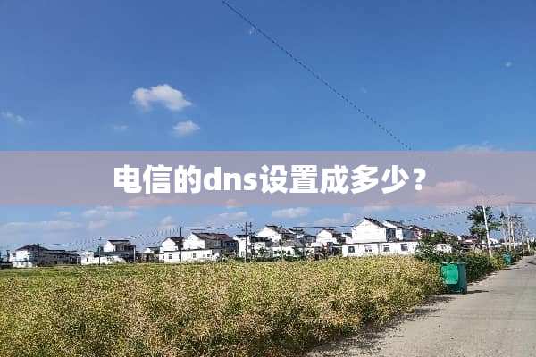 电信的dns设置成多少？