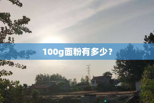 100g面粉有多少？