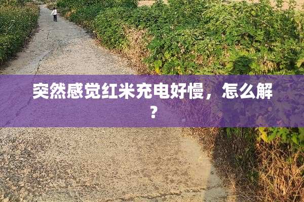 突然感觉红米充电好慢，怎么解？