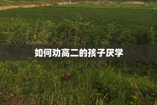 如何劝高二的孩子厌学