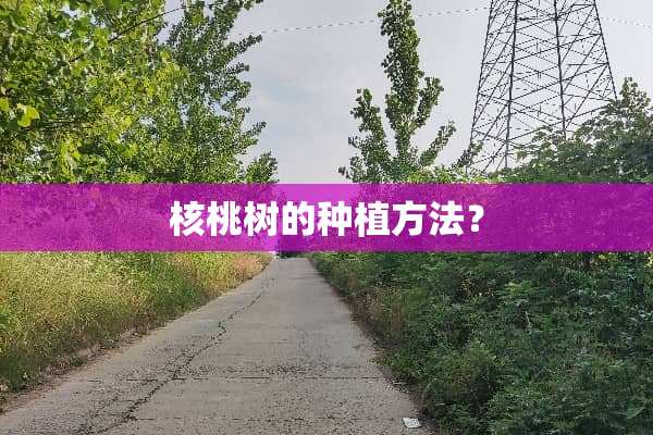 核桃树的种植方法？